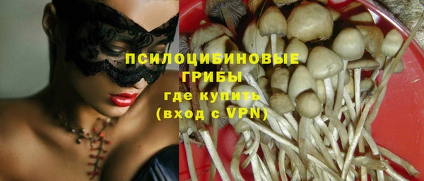 ГАЛЛЮЦИНОГЕННЫЕ ГРИБЫ Абдулино